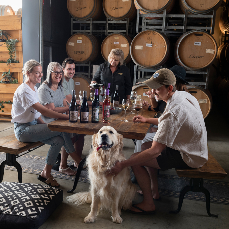 Visit Us Barossa Cellar Door Levrier Wines by Jo Irvine